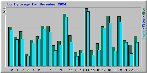 Hourly usage for December 2024