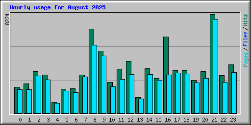 Hourly usage for August 2025